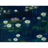 Waterlilies, Homage to Monet